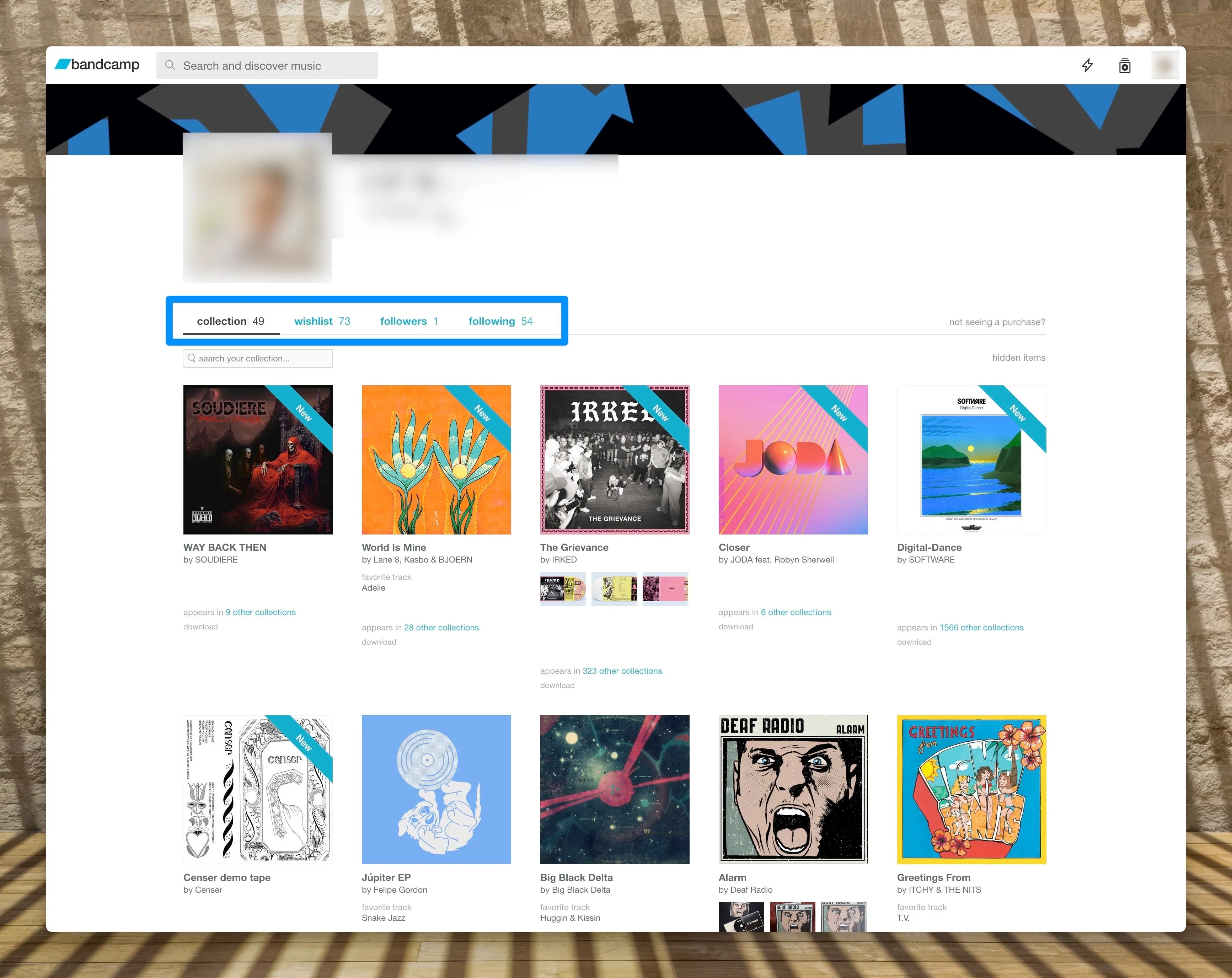 Bandcamp fan profile view